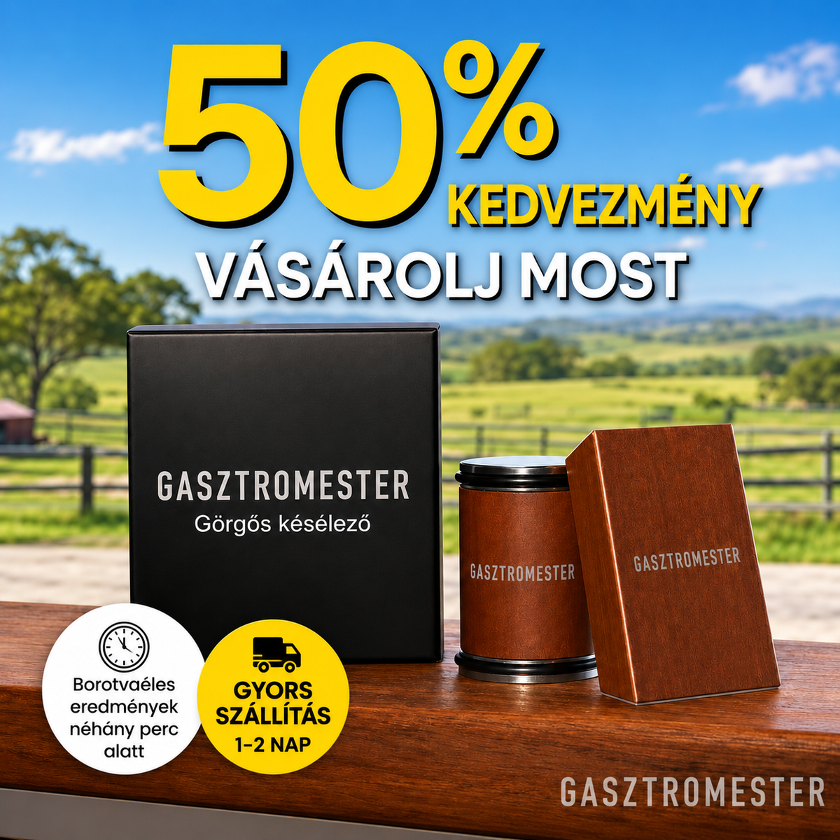 GasztroMester - Professzionális Késélező